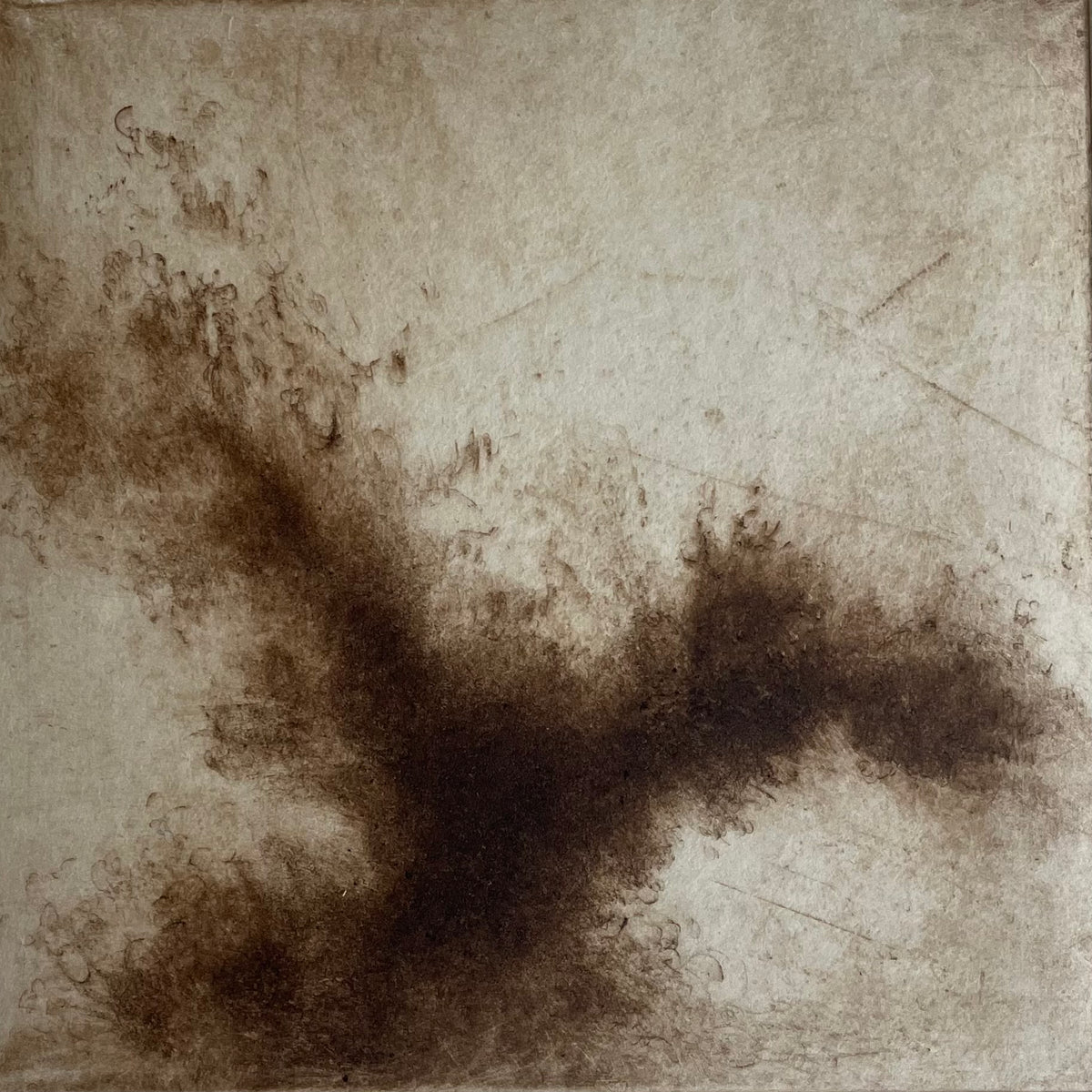 Chalara | Linda Felcey