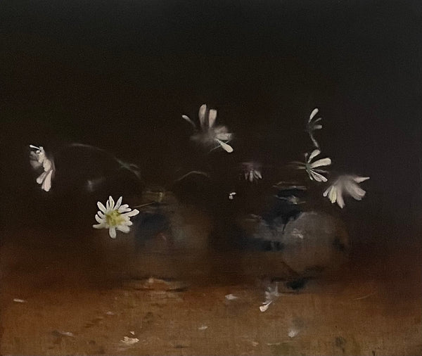 Starry | Linda Felcey