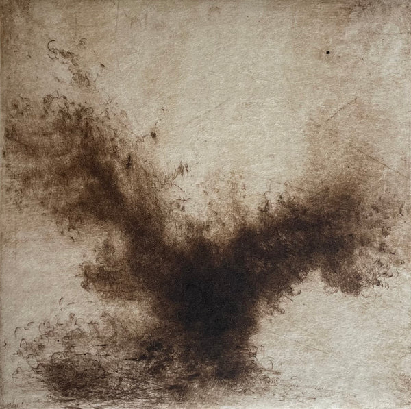 Chalara | Linda Felcey