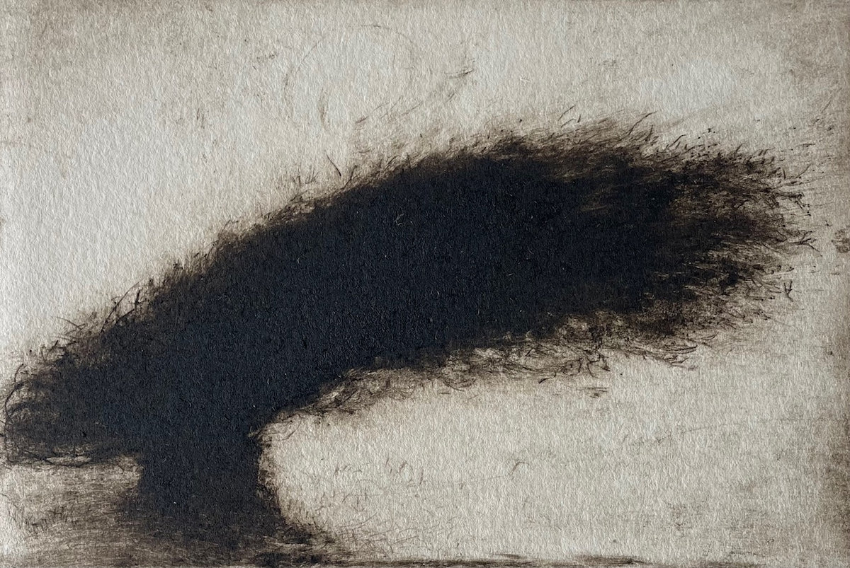 May Tree | Linda Felcey