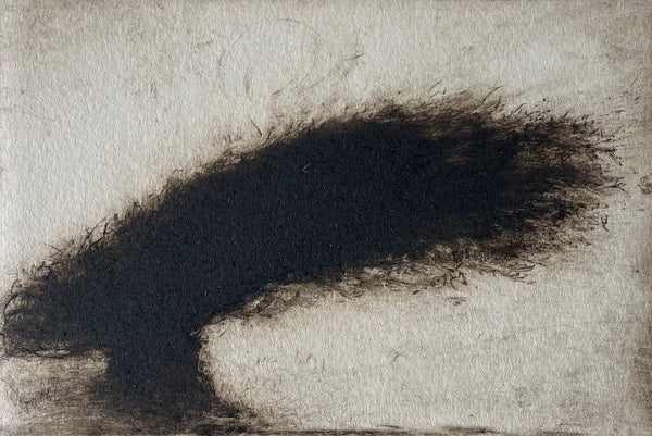 May Tree | Linda Felcey