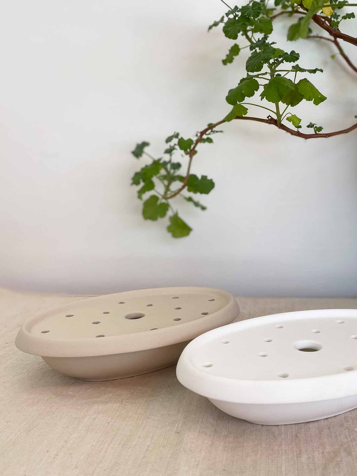 Soap dish