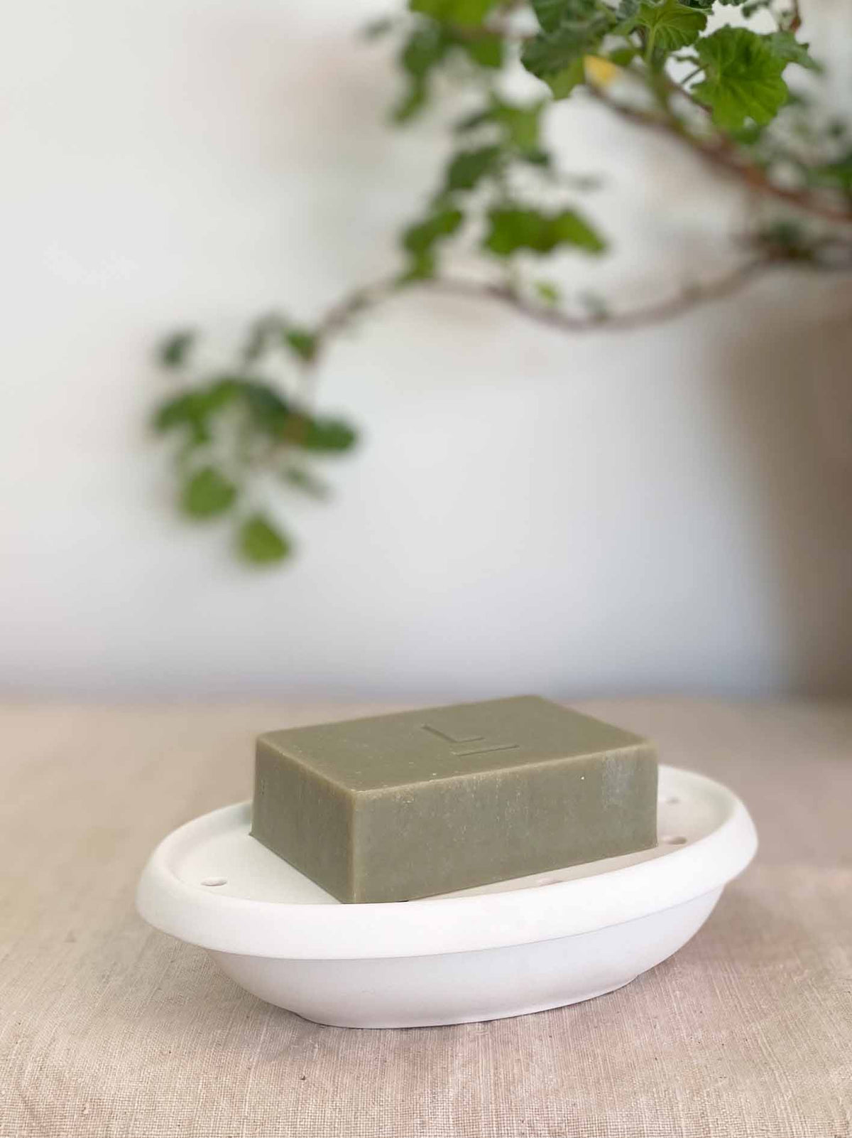 Soap dish