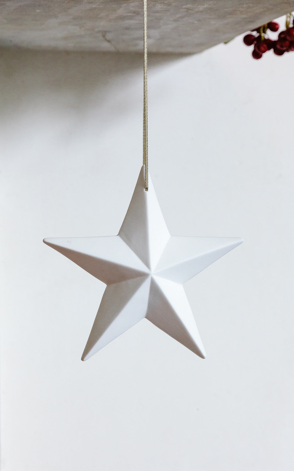 Bone China White Star Decorations