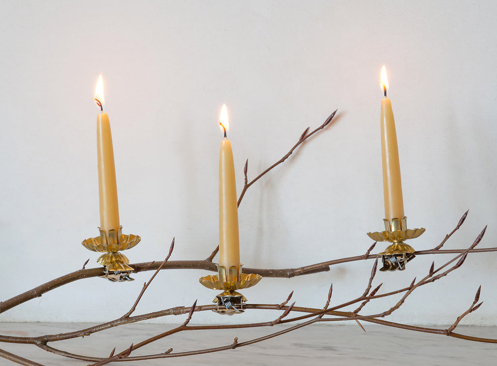 Small beeswax tree candles in vintage candle holders